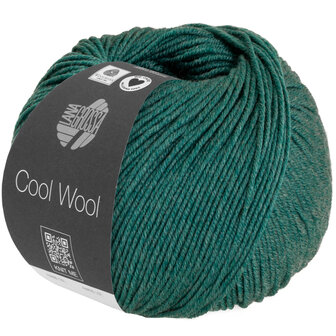 COOL WOOL MELANGE 1425 (WE CARE)