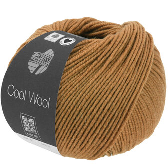 COOL WOOL MELANGE 1423 (WE CARE)