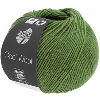 COOL WOOL MELANGE 1434 (WE CARE)