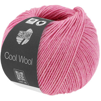 COOL WOOL MELANGE 1431 (WE CARE)