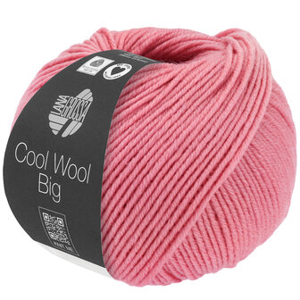 COOL WOOL BIG MELANGE 1631  (WE CARE)