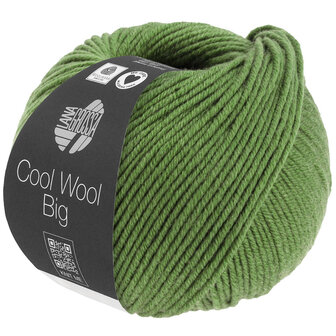 COOL WOOL BIG MELANGE 1634  (WE CARE)