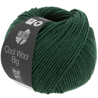 COOL WOOL BIG MELANGE 1625  (WE CARE)