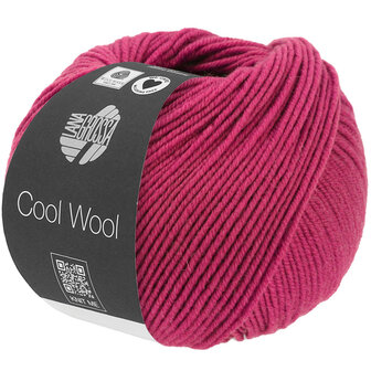 COOL WOOL MELANGE 1432 (WE CARE)